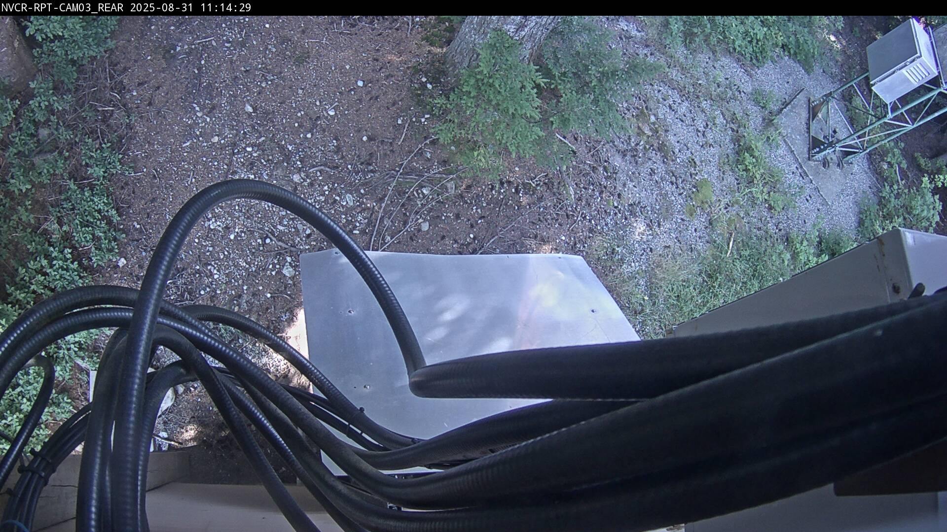 Web Cam History Image - 906
