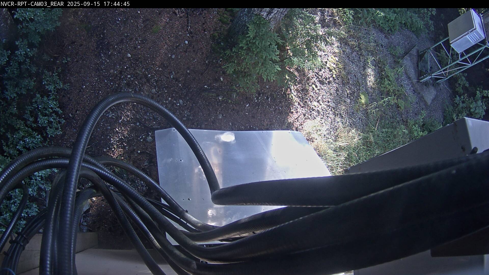 Web Cam History Image - 906