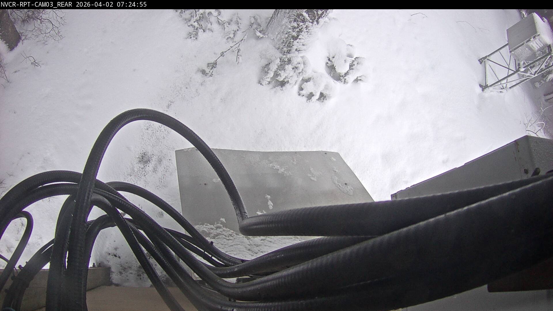 Web Cam History Image - 906