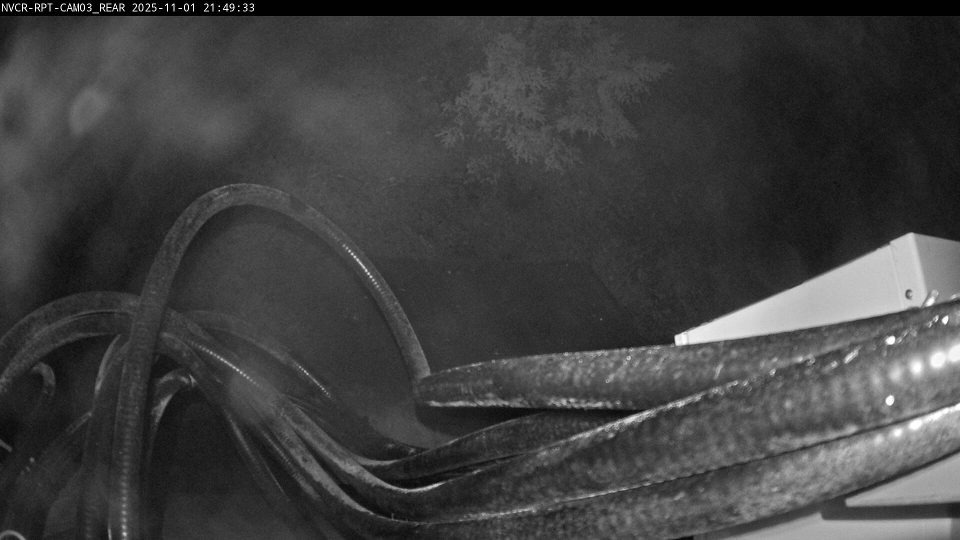 Web Cam History Image - 907