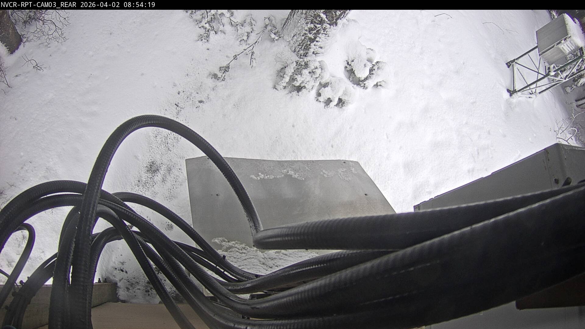 Web Cam History Image - 907