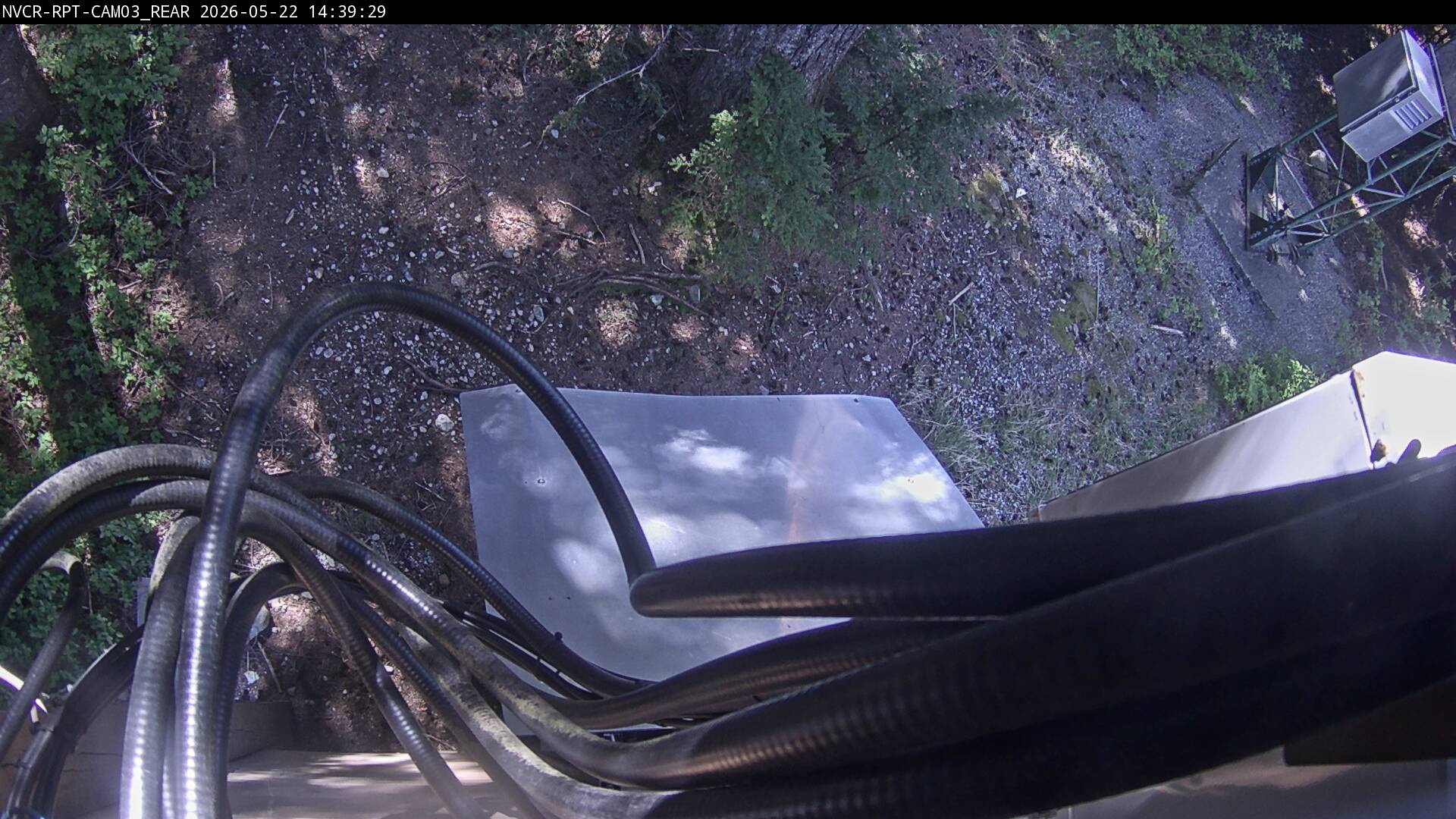Web Cam History Image - 910
