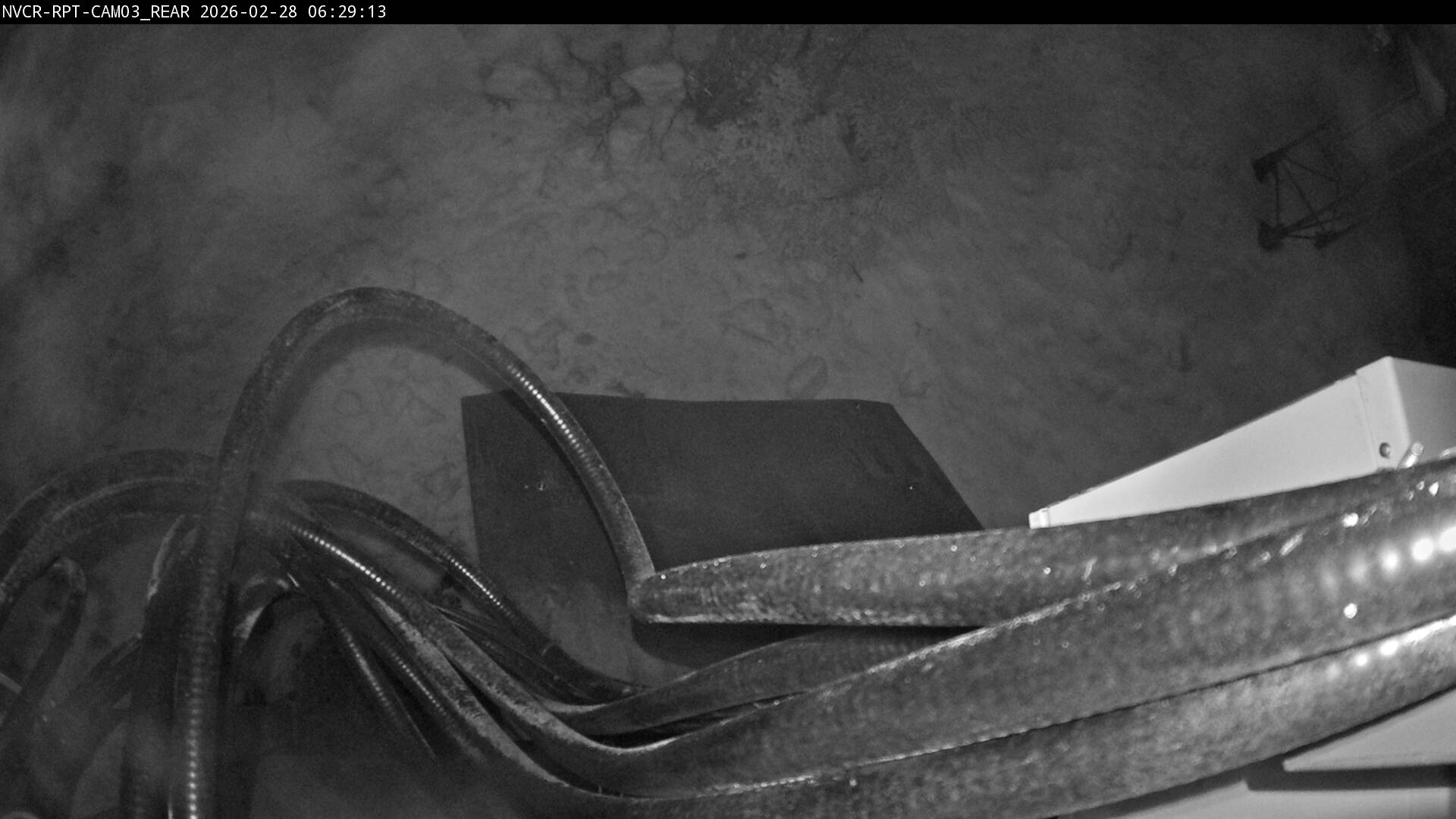 Web Cam History Image - 92