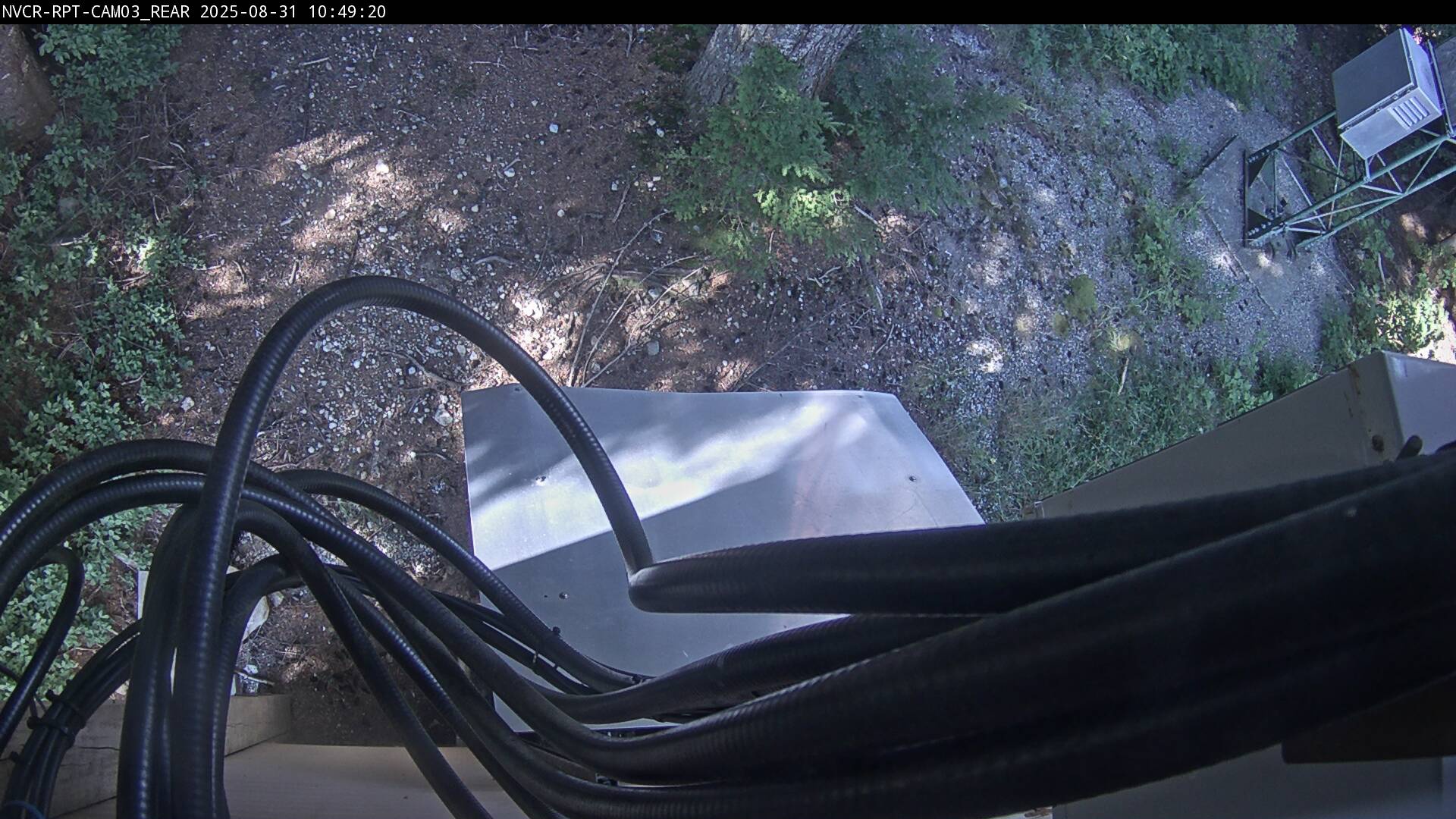 Web Cam History Image - 911
