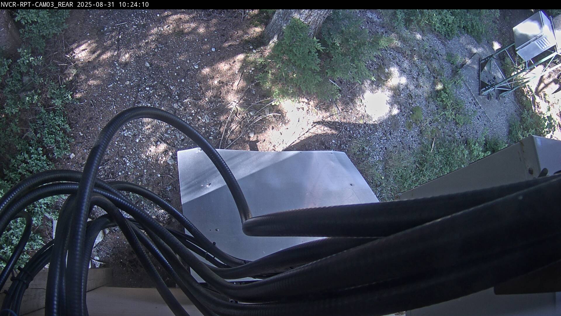 Web Cam History Image - 915