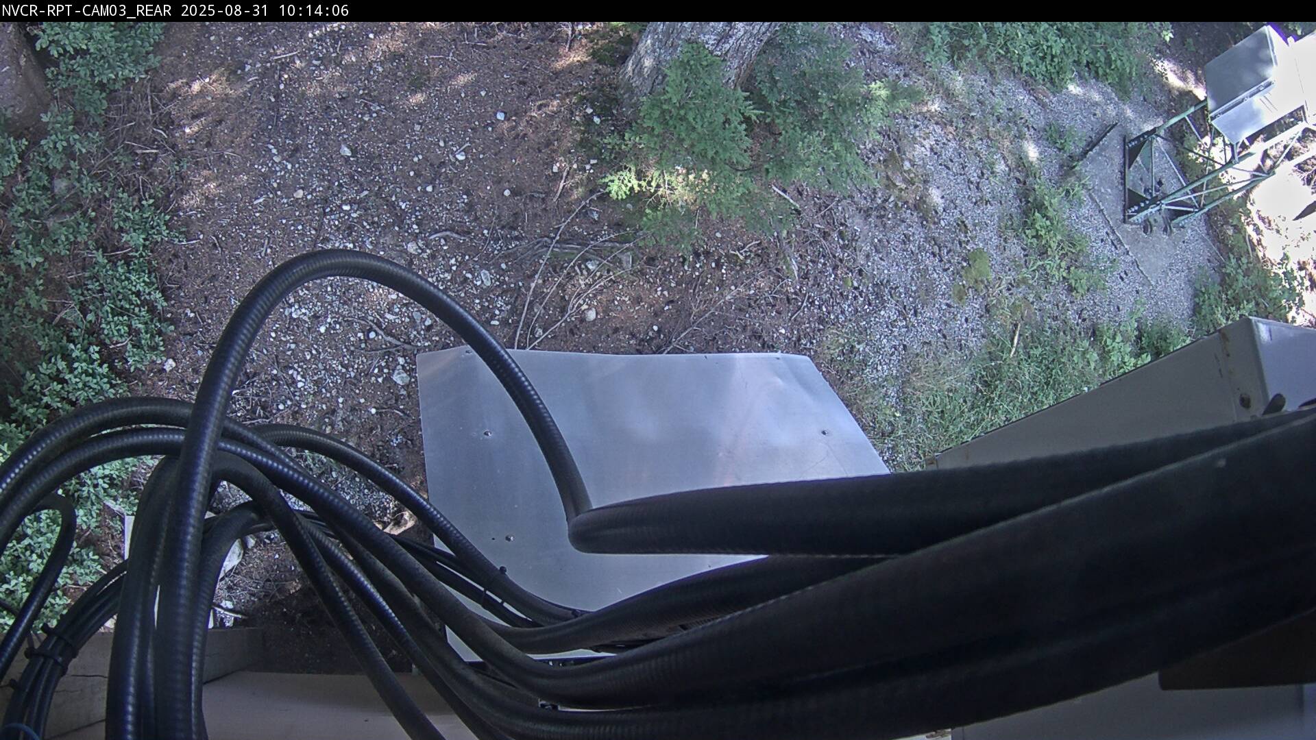Web Cam History Image - 917