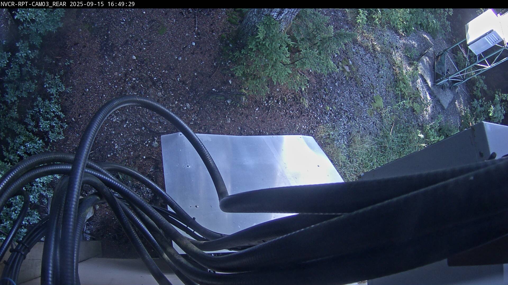Web Cam History Image - 917