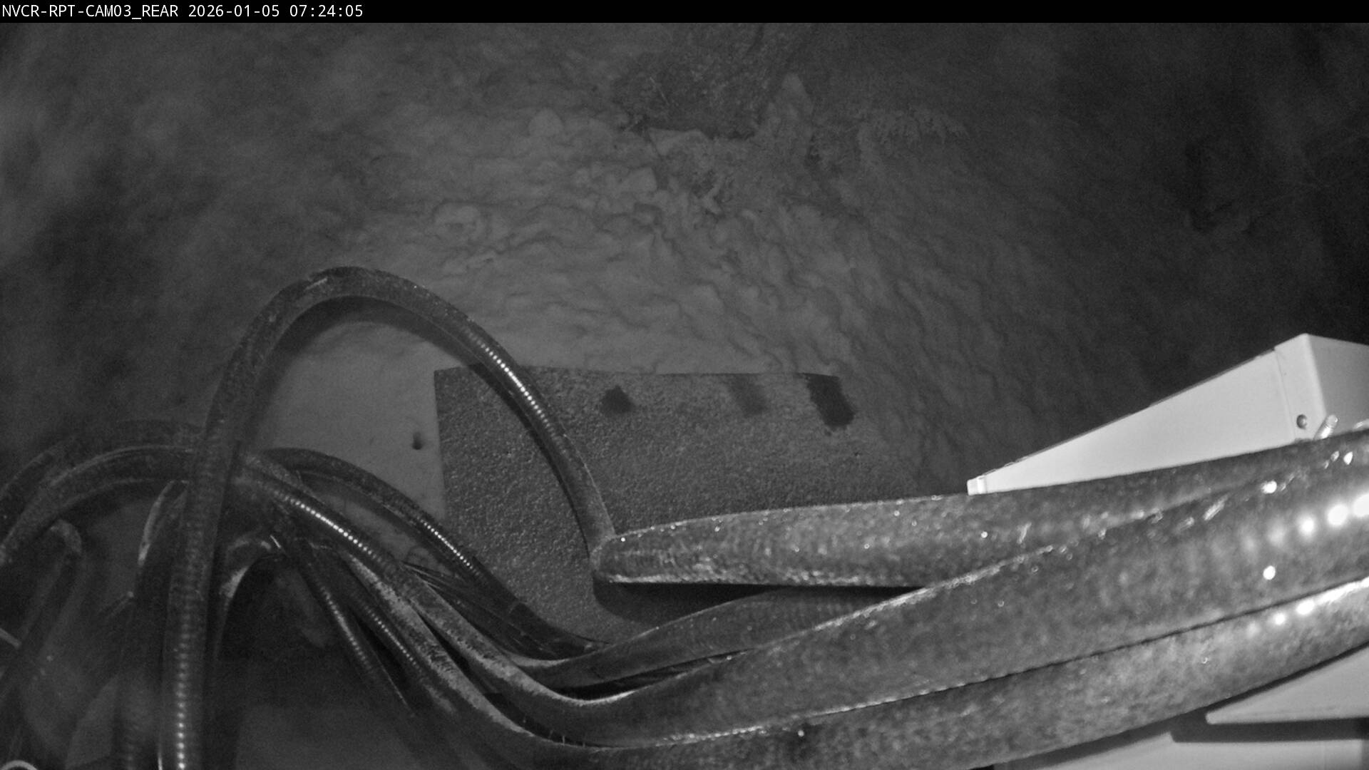 Web Cam History Image - 917