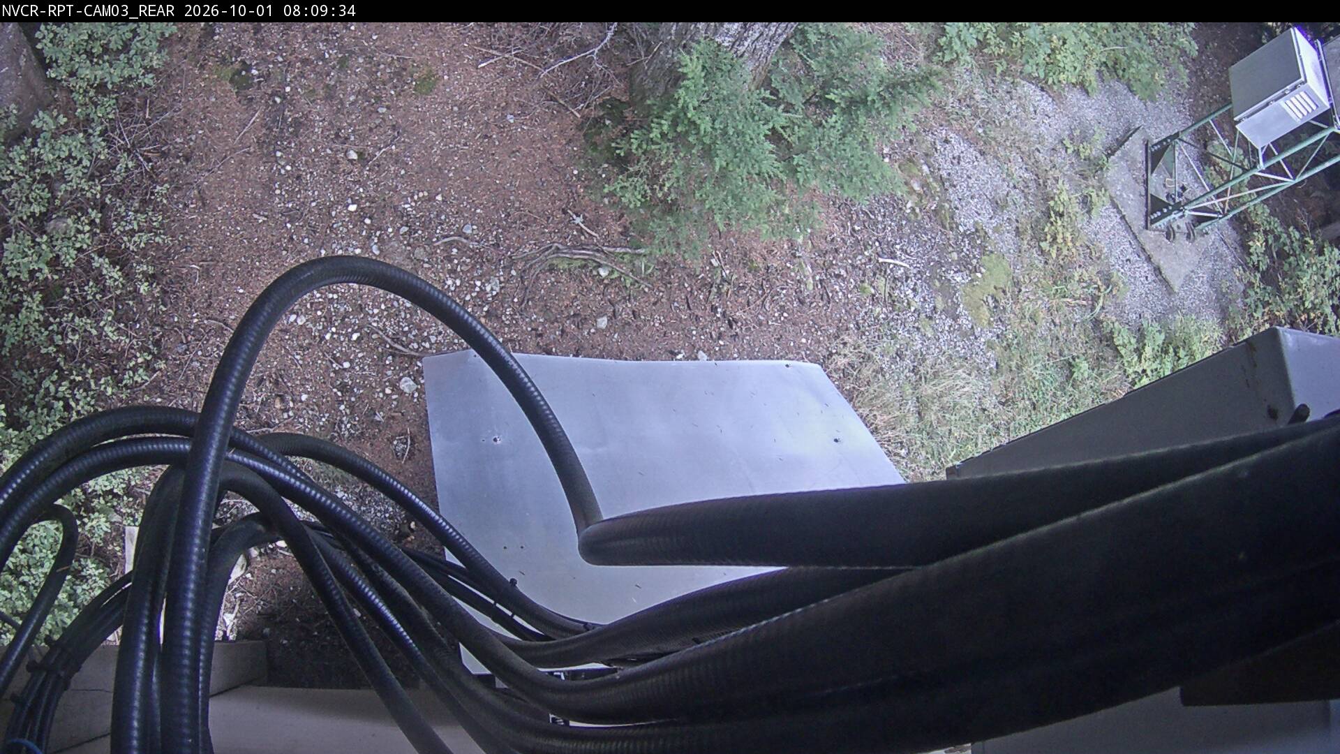 Web Cam History Image - 917