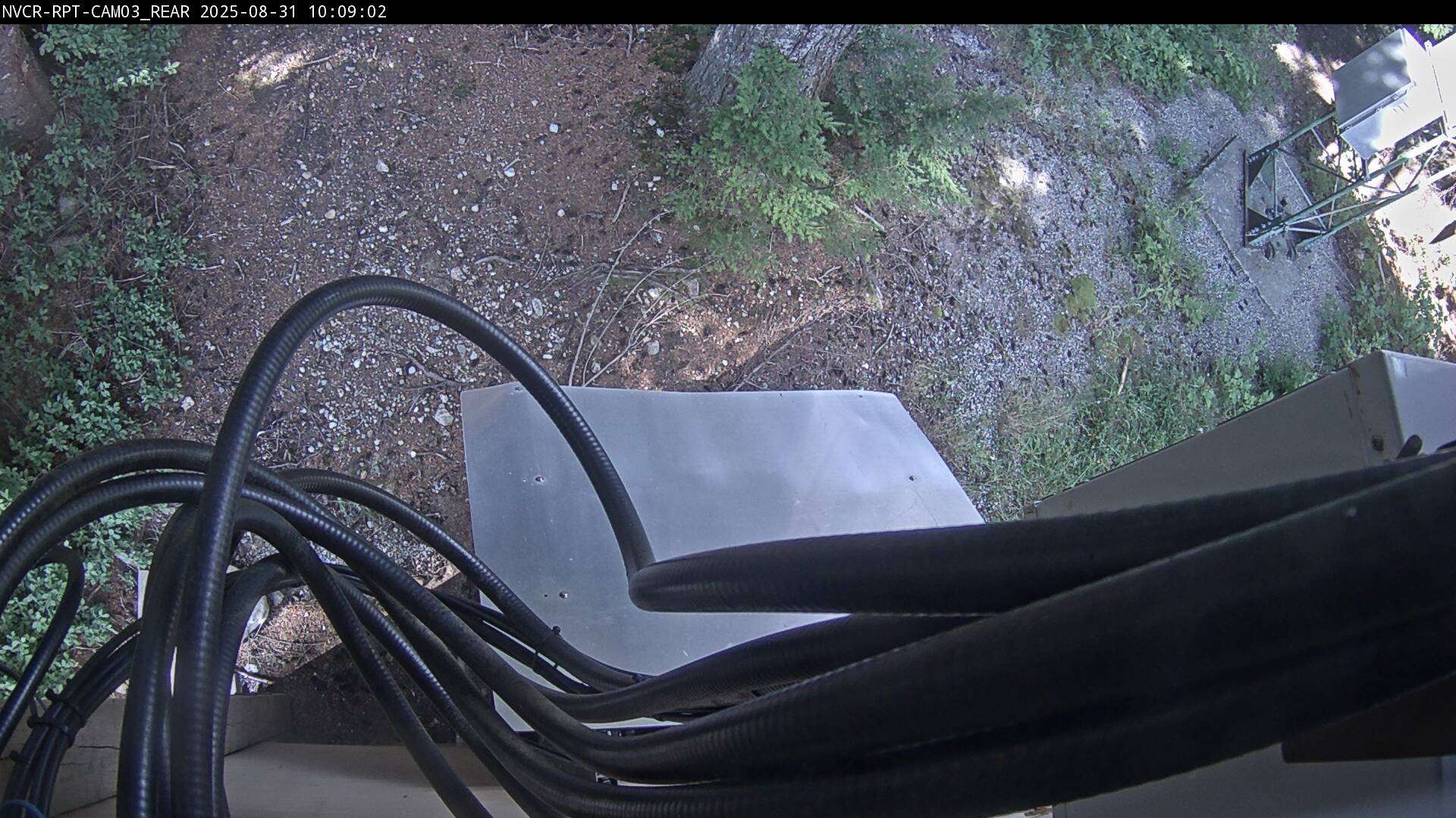 Web Cam History Image - 918