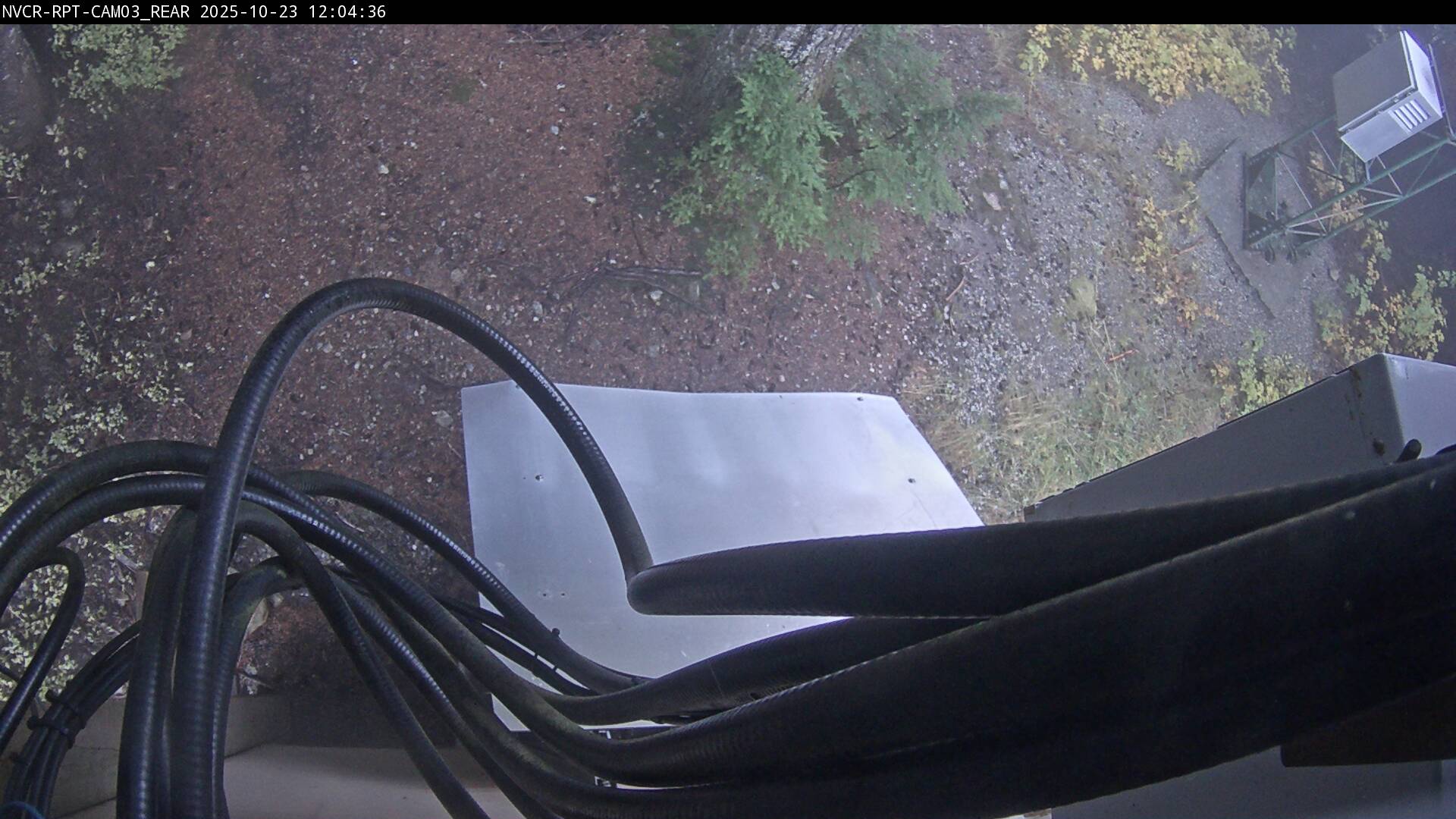 Web Cam History Image - 918