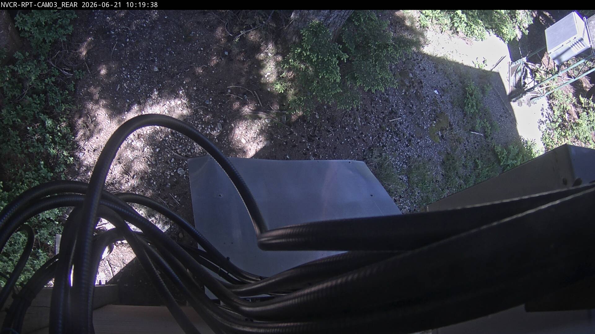 Web Cam History Image - 918