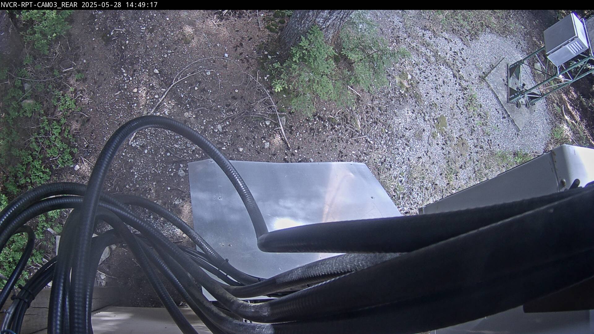 Web Cam History Image - 919