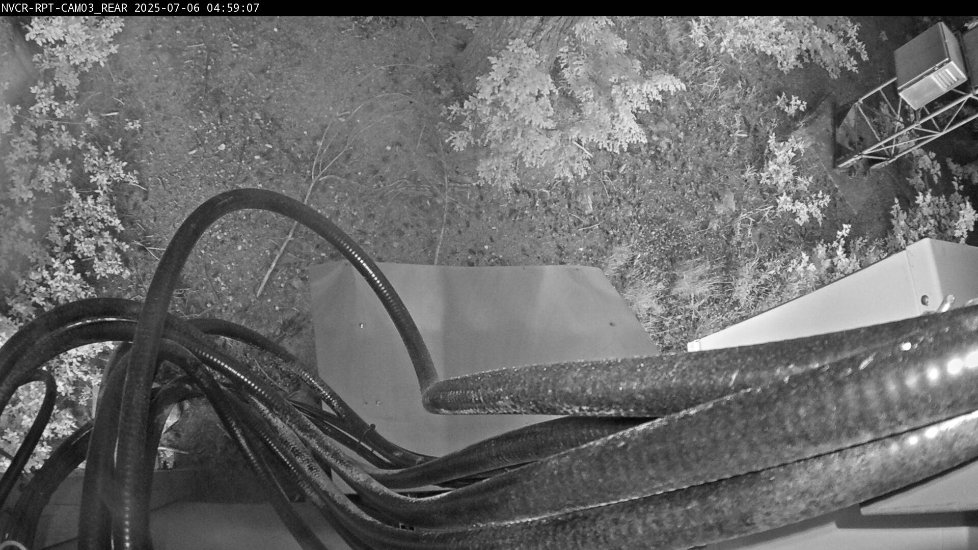 Web Cam History Image - 919