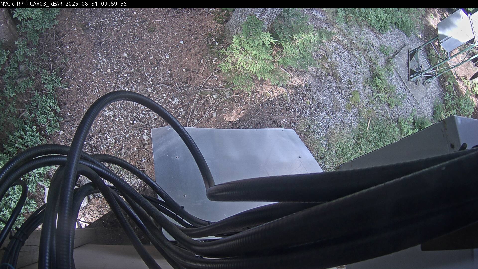 Web Cam History Image - 920