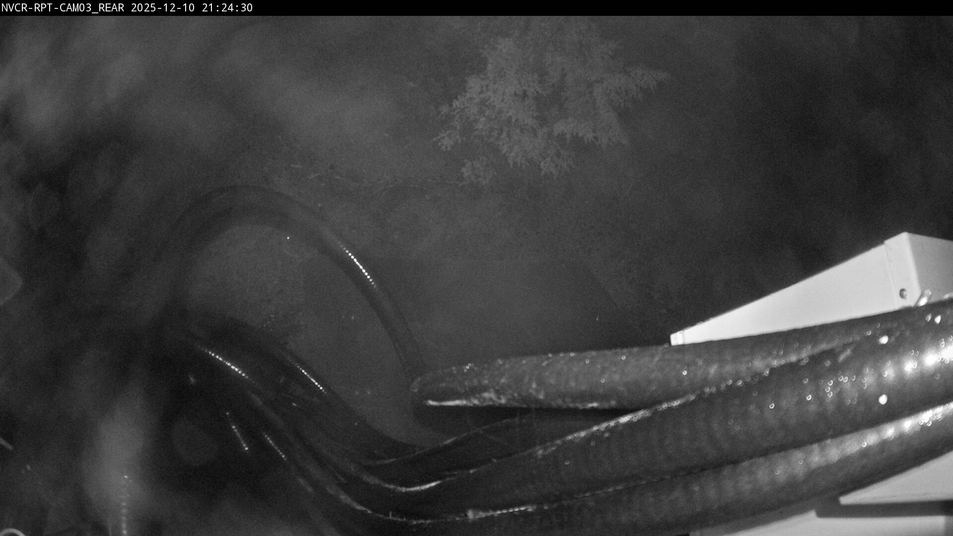 Web Cam History Image - 920