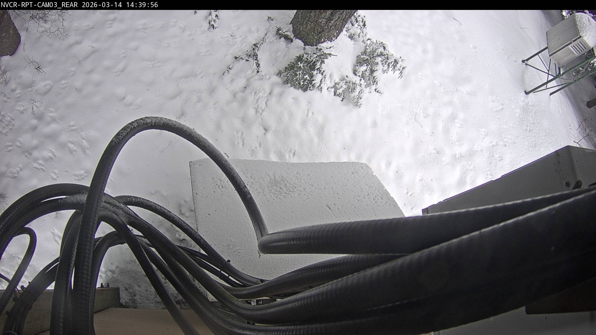 Web Cam History Image - 920