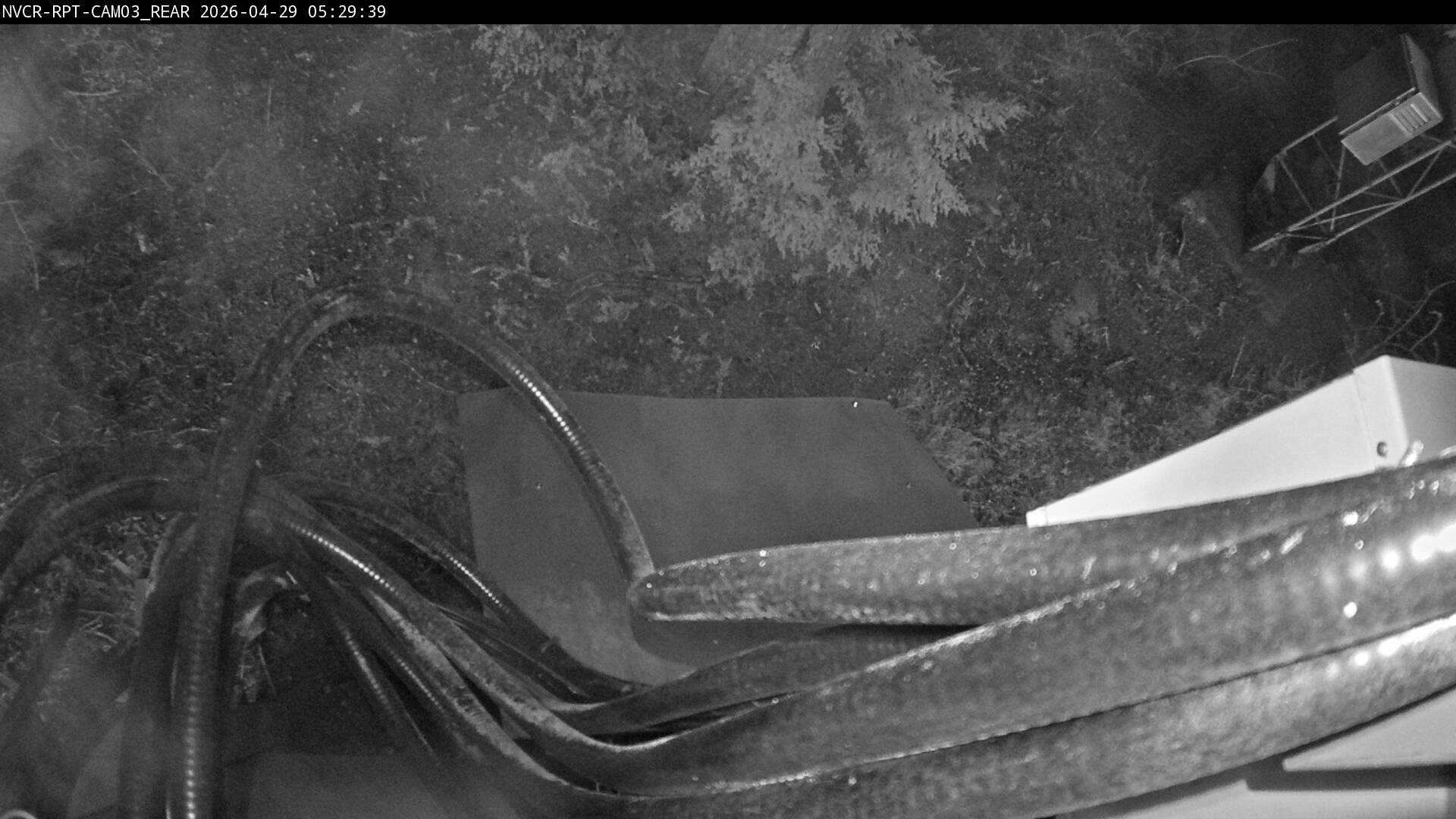 Web Cam History Image - 920