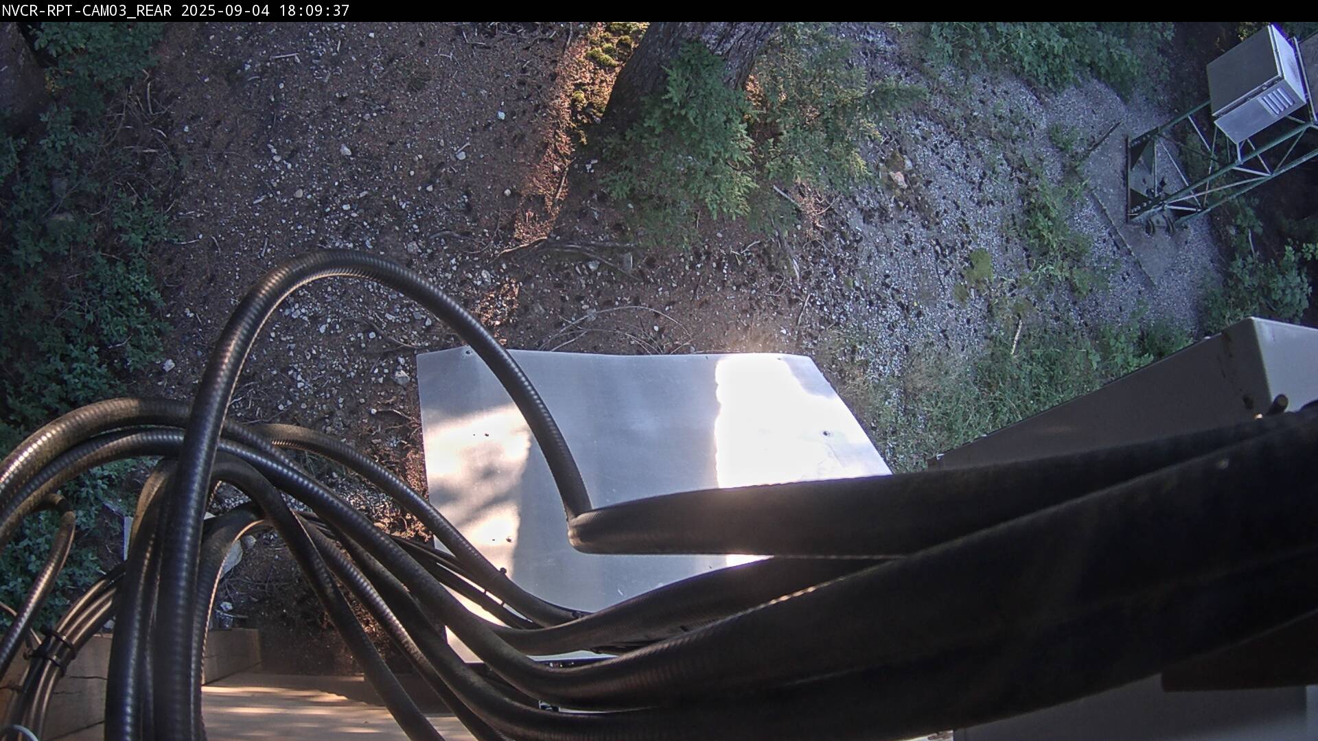Web Cam History Image - 93