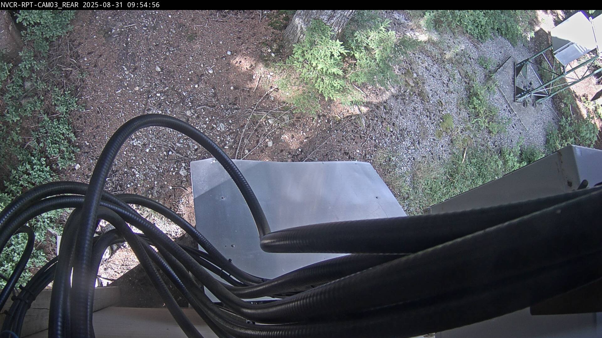 Web Cam History Image - 921