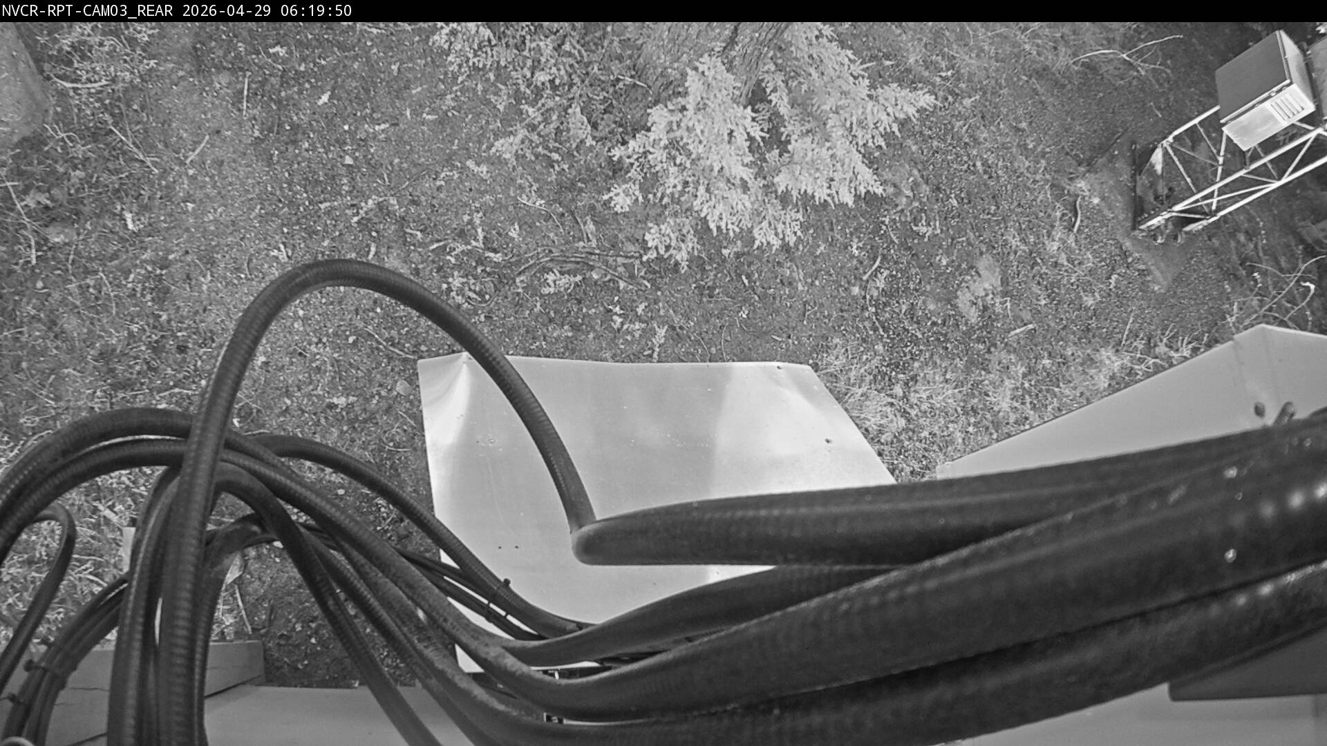 Web Cam History Image - 921