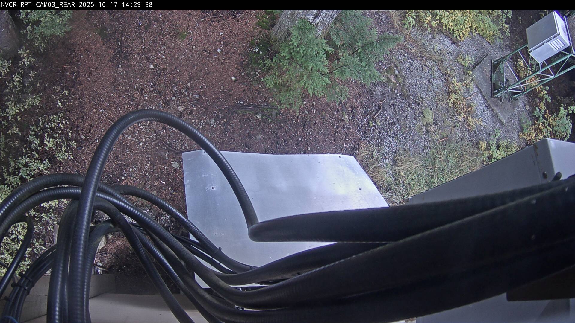 Web Cam History Image - 922