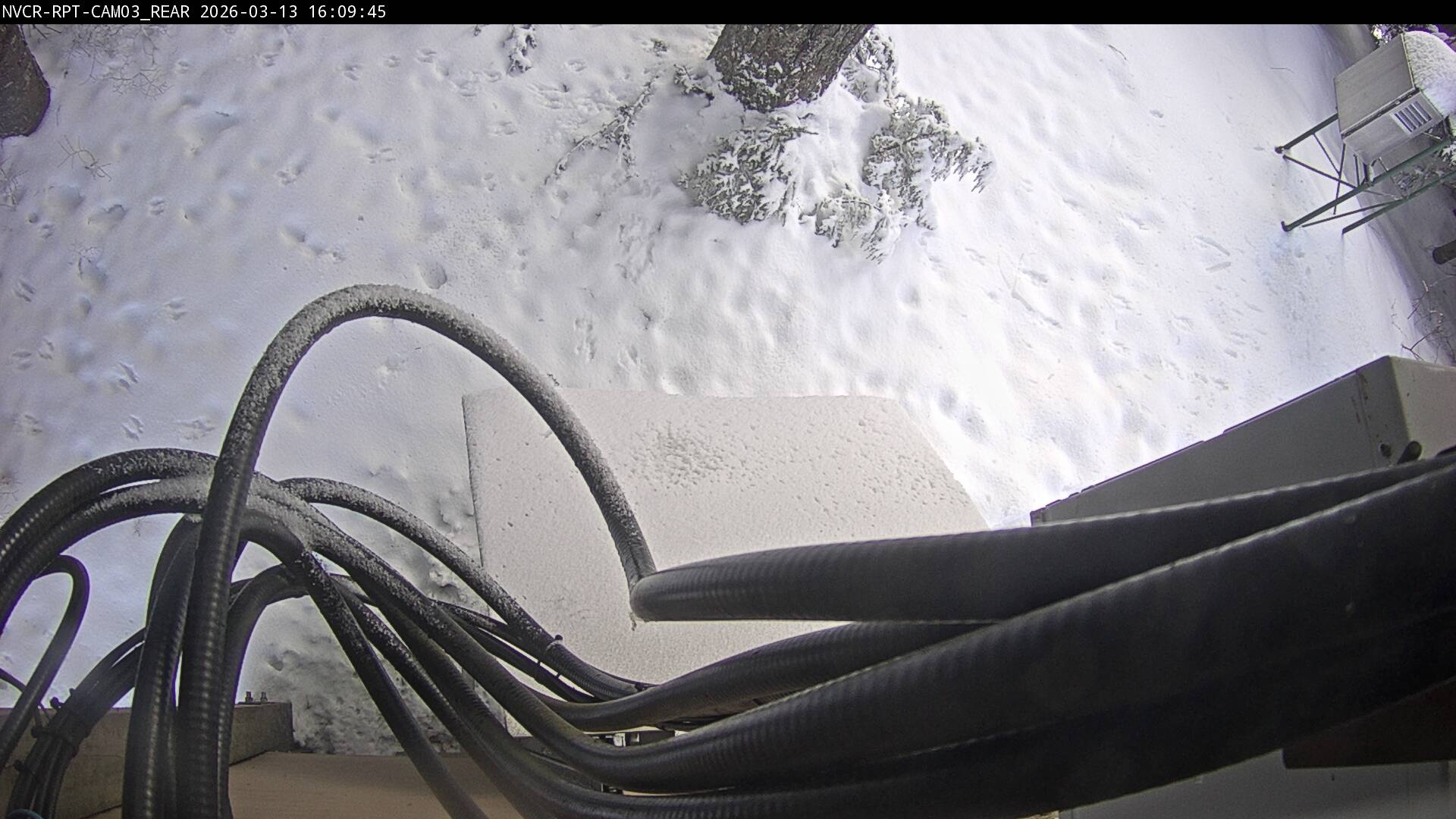 Web Cam History Image - 923