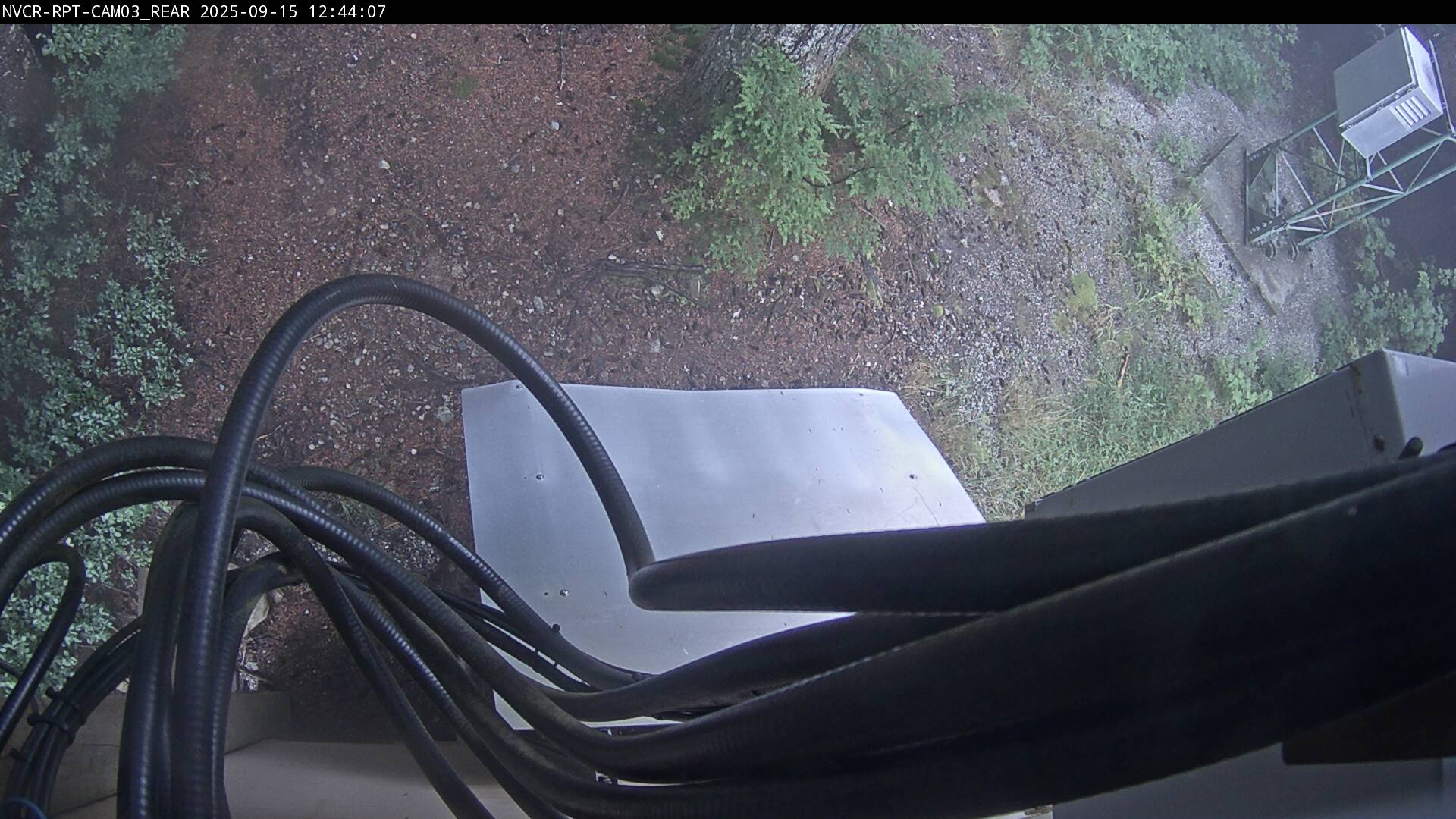 Web Cam History Image - 928