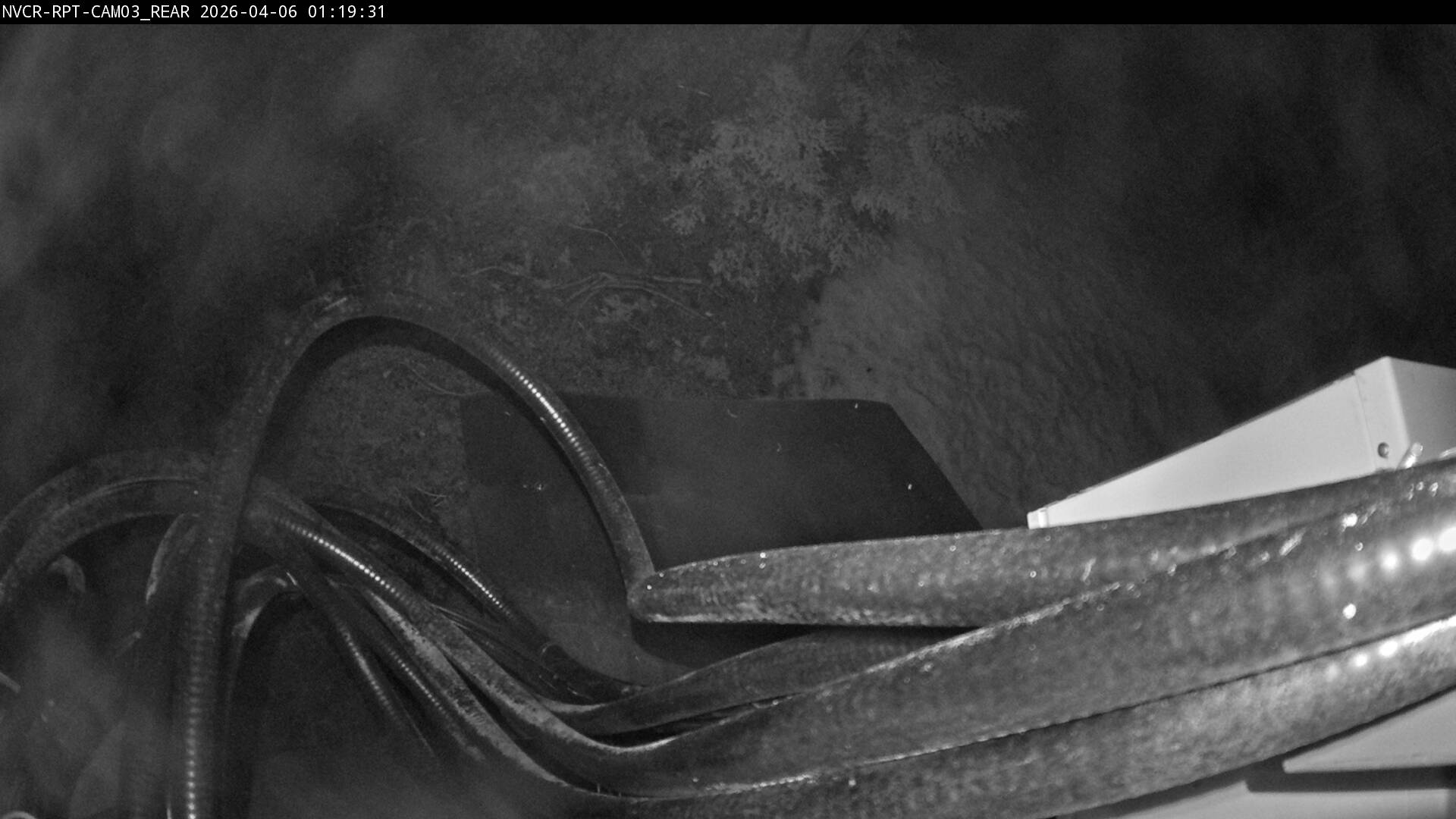 Web Cam History Image - 928