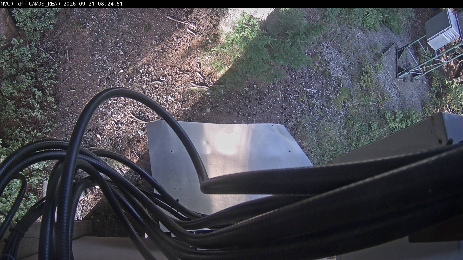Web Cam History Image - 929