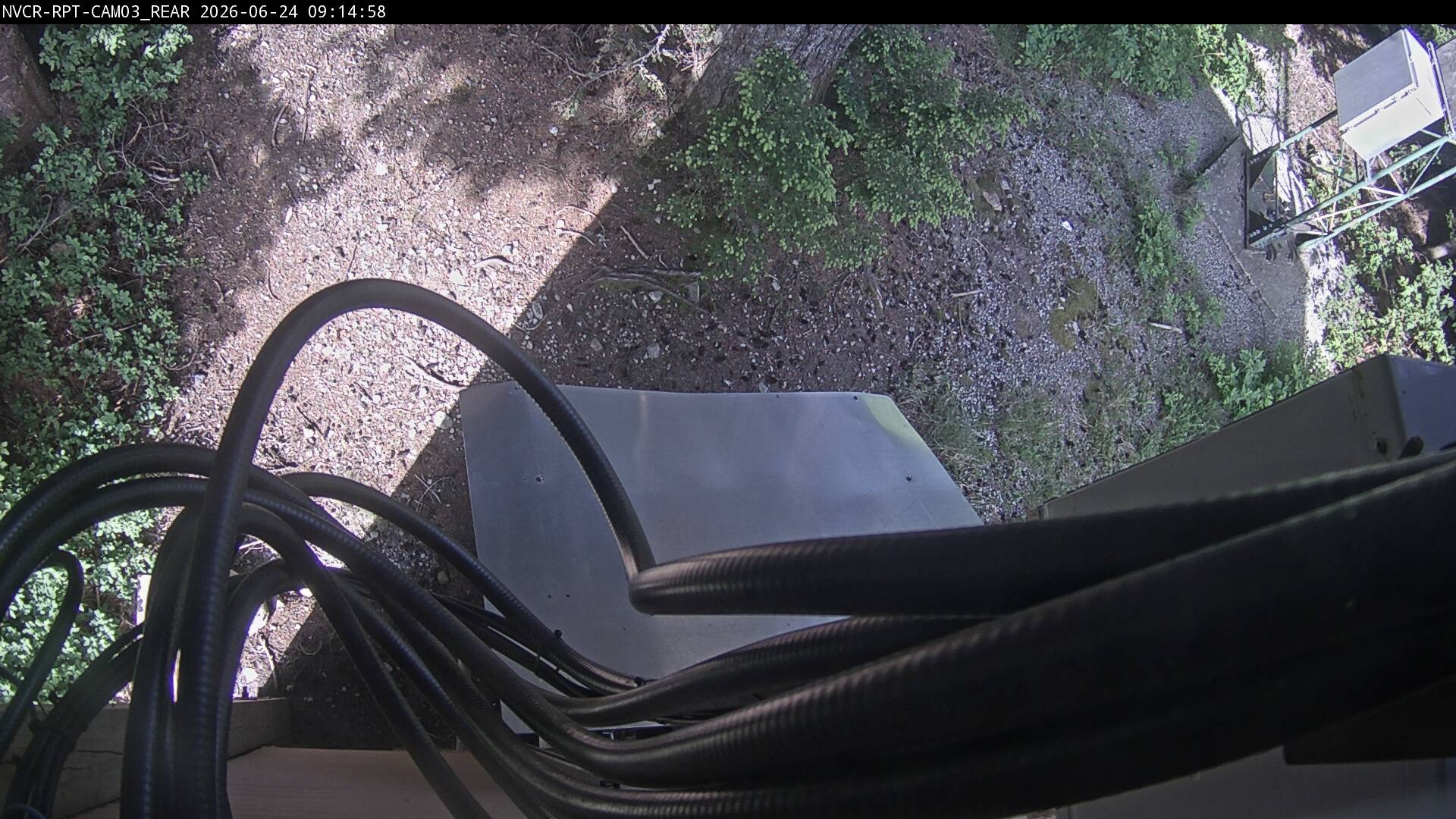 Web Cam History Image - 930