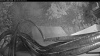 Web Cam Image - Wed, 09/02/2026 6:09am PDT