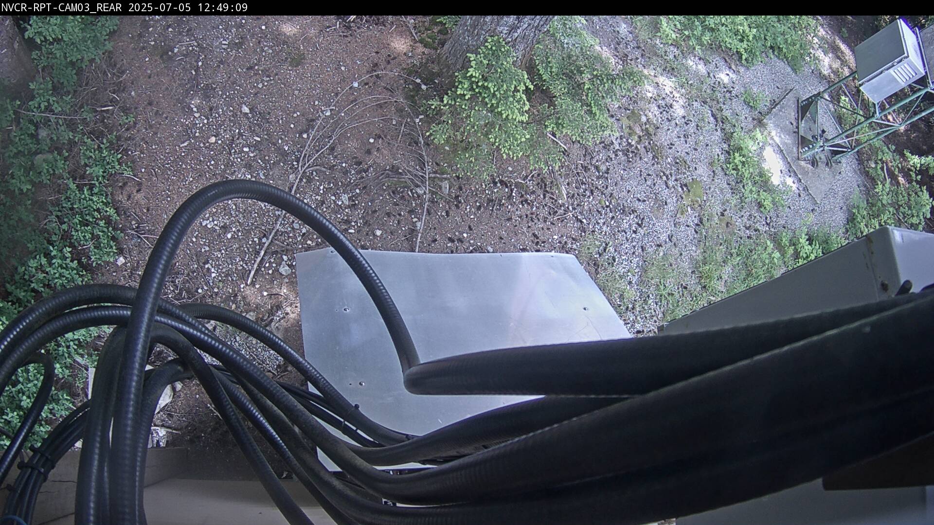 Web Cam History Image - 94