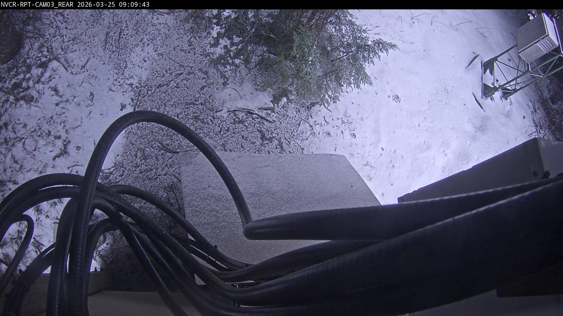 Web Cam History Image - 932