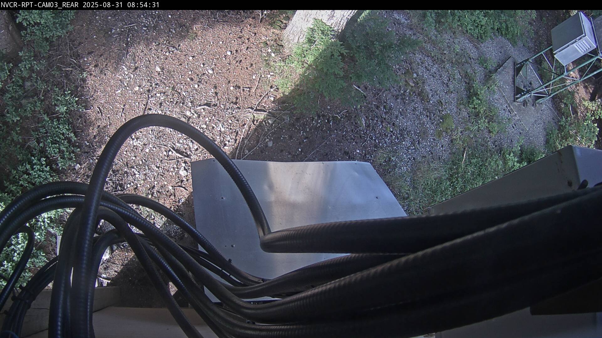 Web Cam History Image - 933