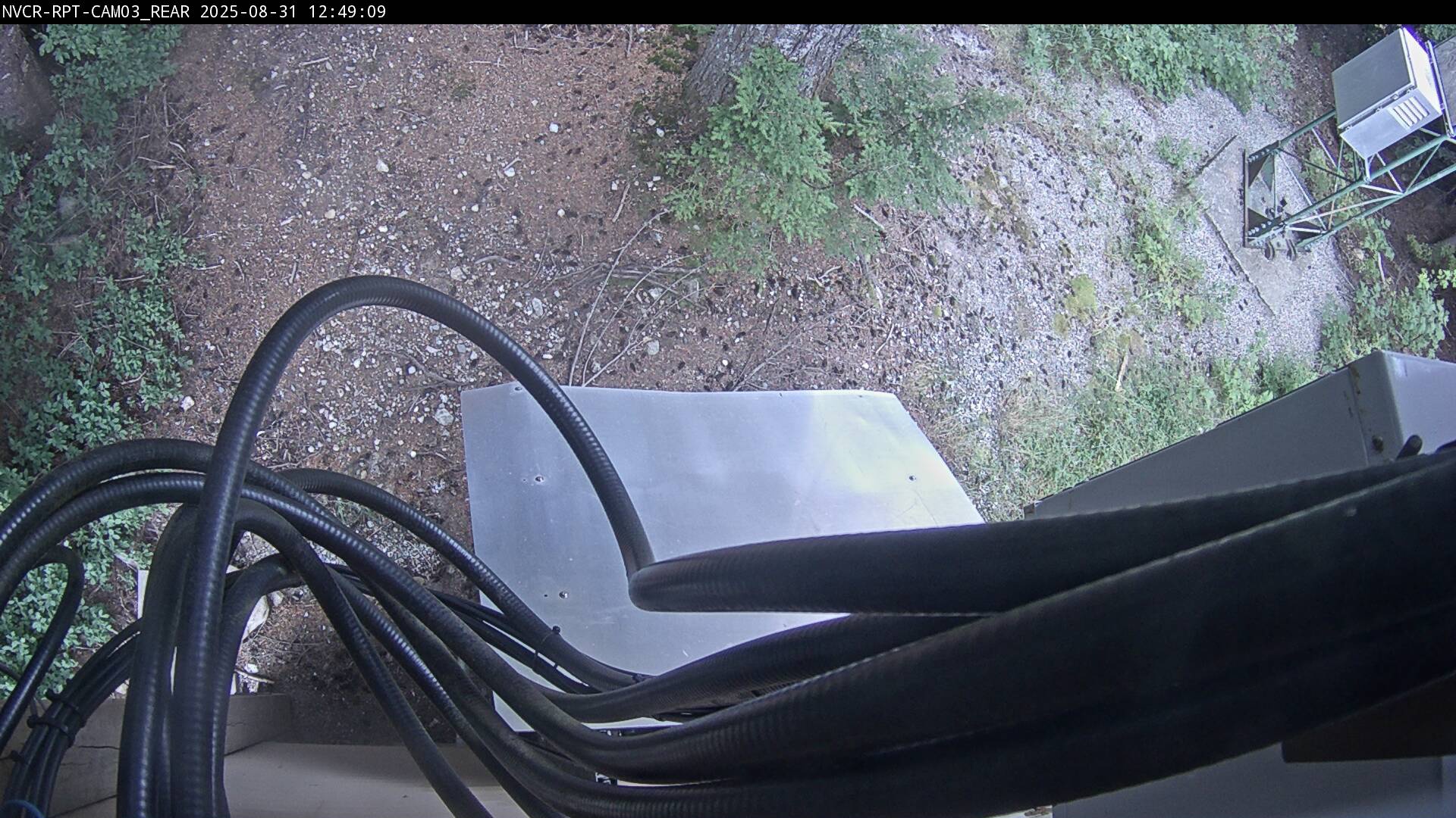 Web Cam History Image - 95