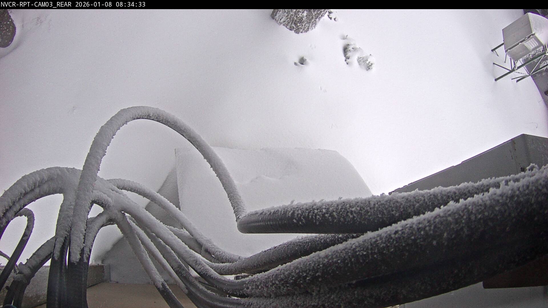 Web Cam History Image - 95