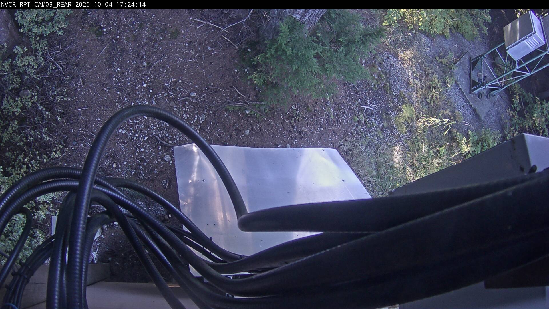 Web Cam History Image - 95
