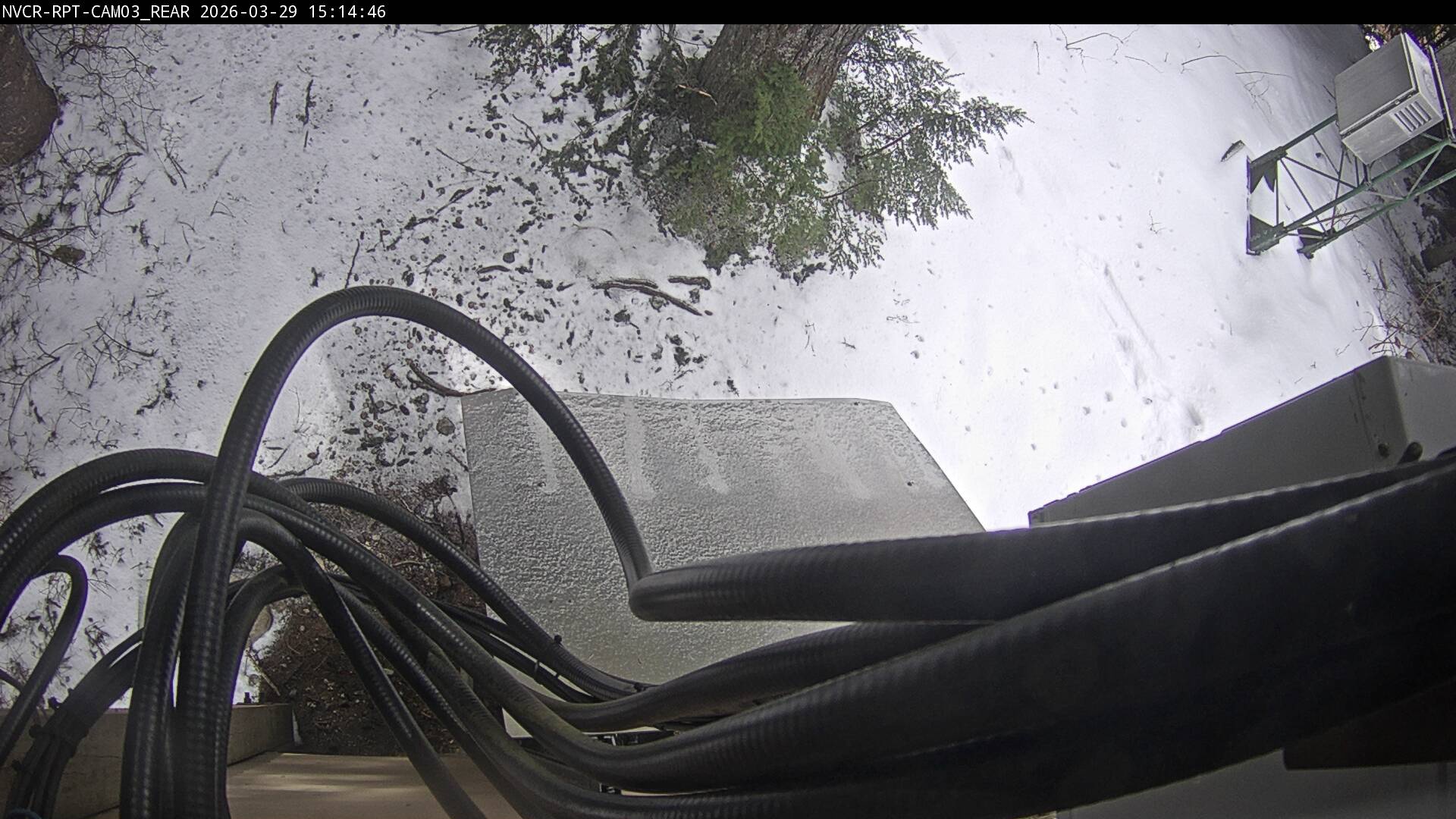 Web Cam History Image - 941