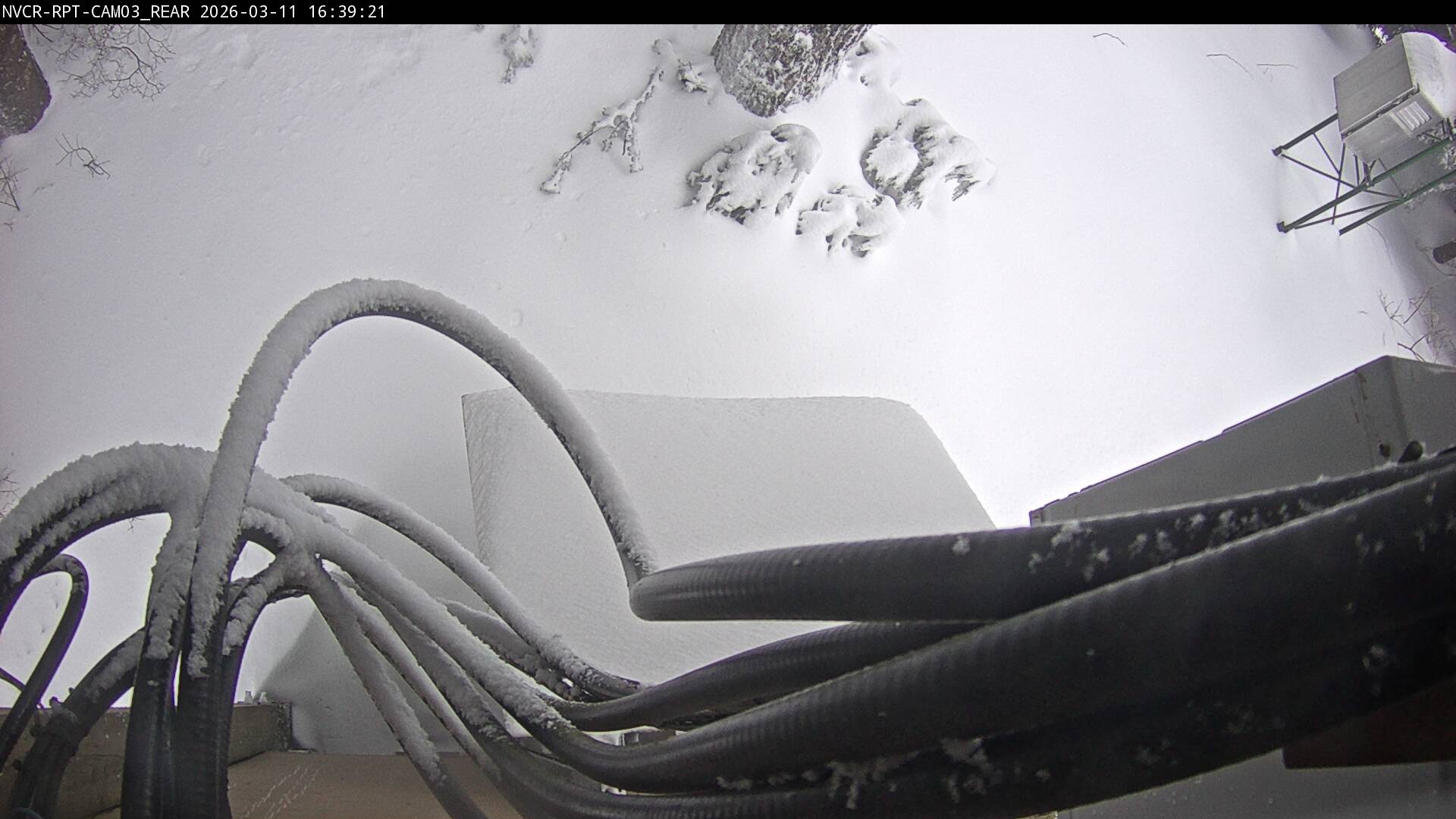 Web Cam History Image - 947