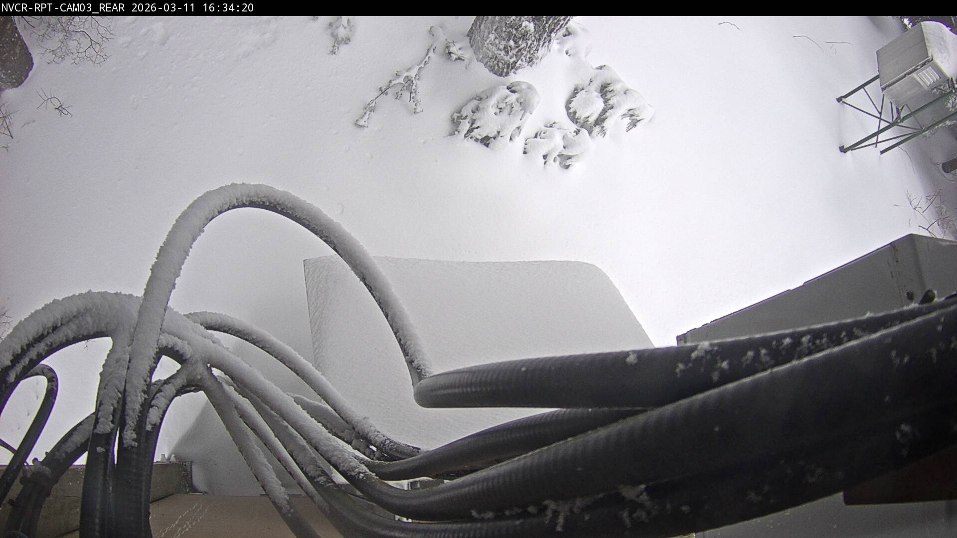 Web Cam History Image - 949