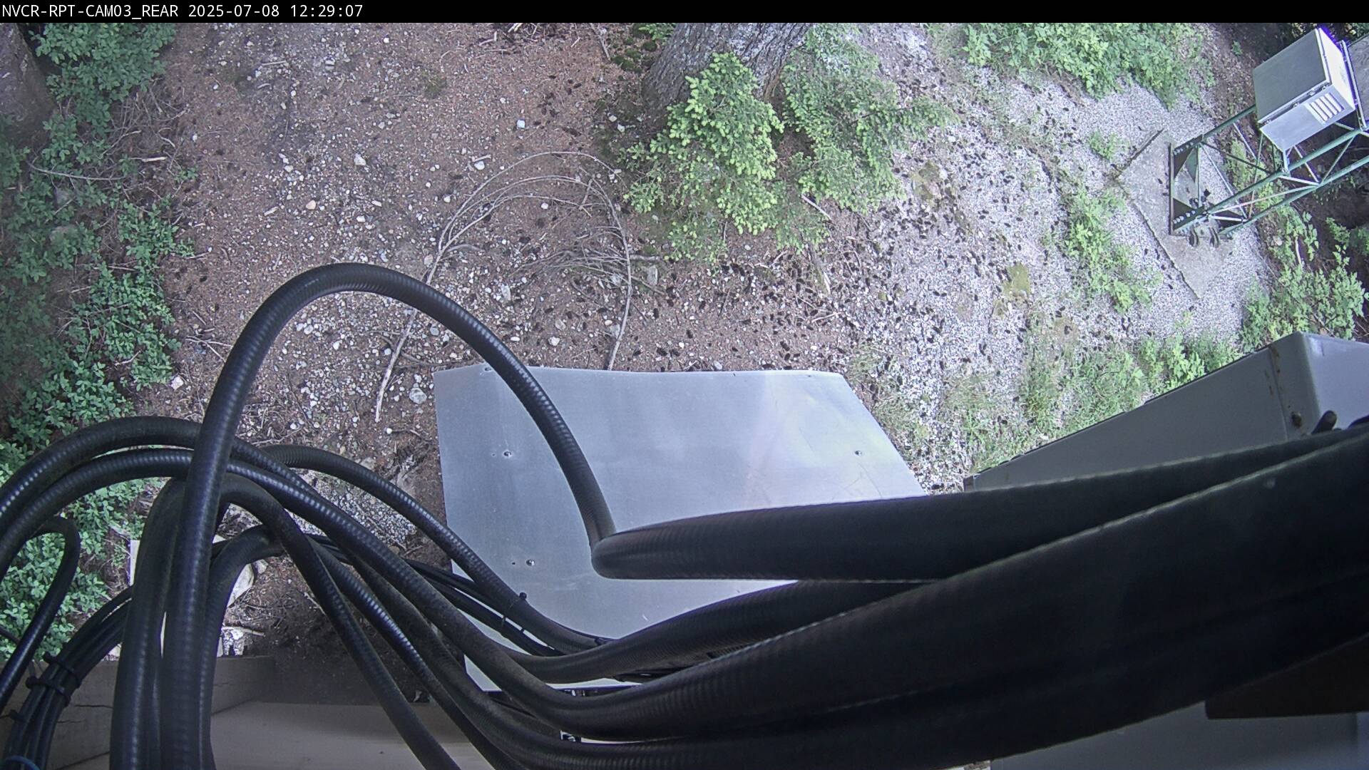 Web Cam History Image - 950
