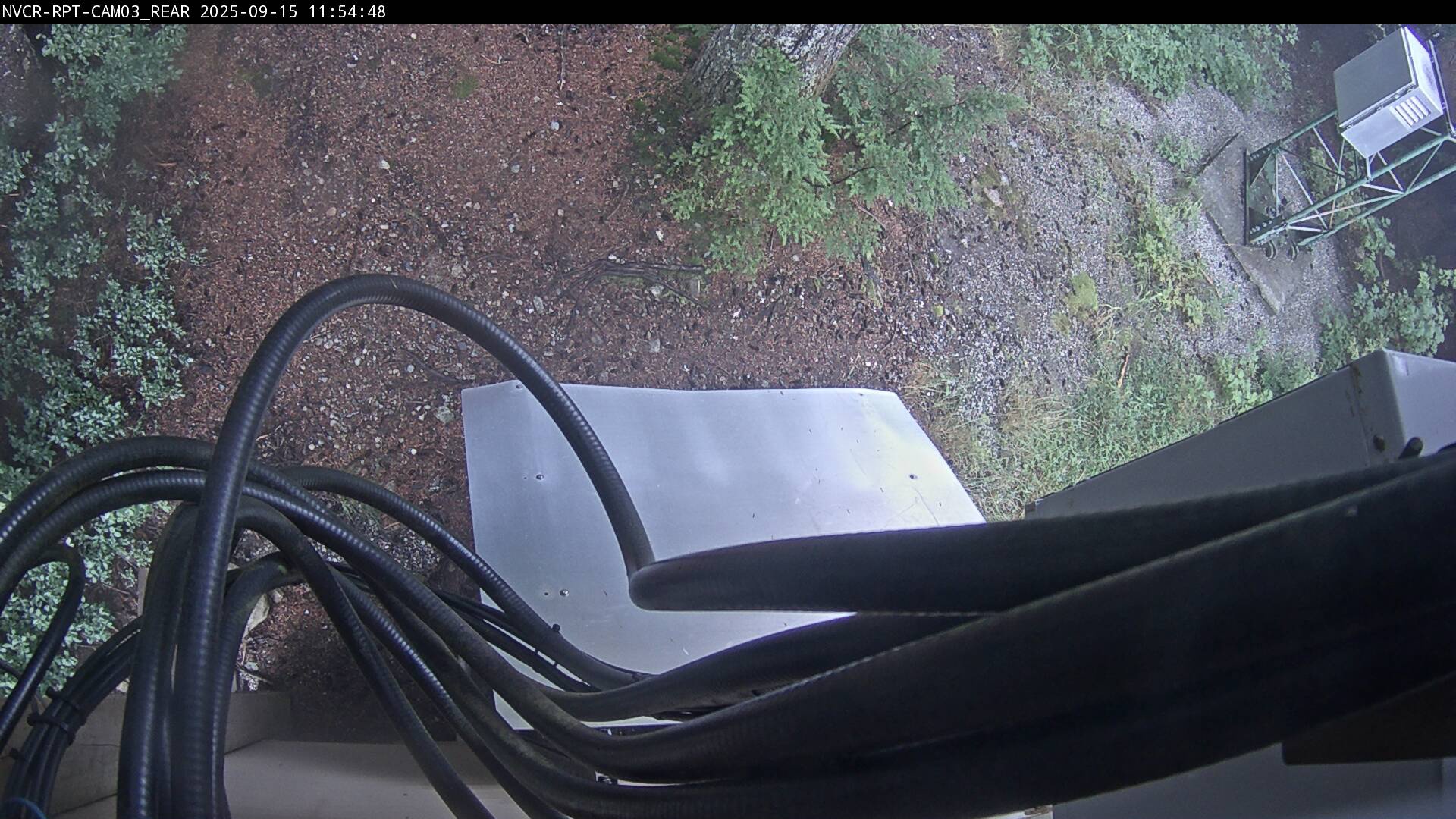 Web Cam History Image - 96