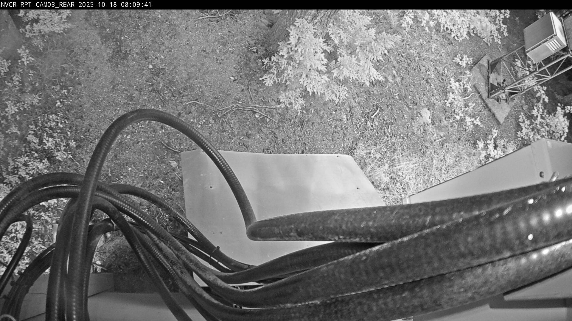 Web Cam History Image - 96