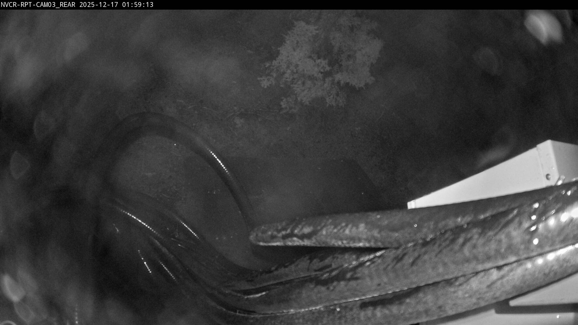 Web Cam History Image - 96