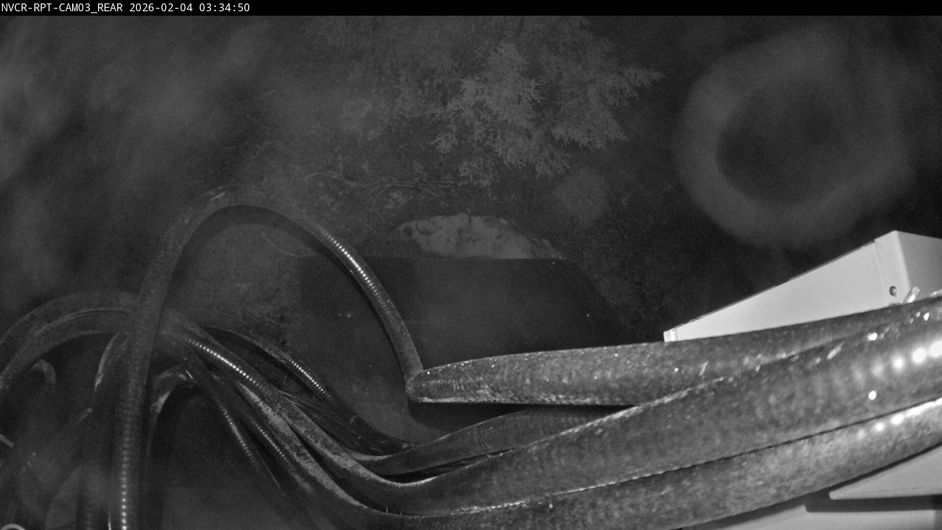 Web Cam History Image - 96