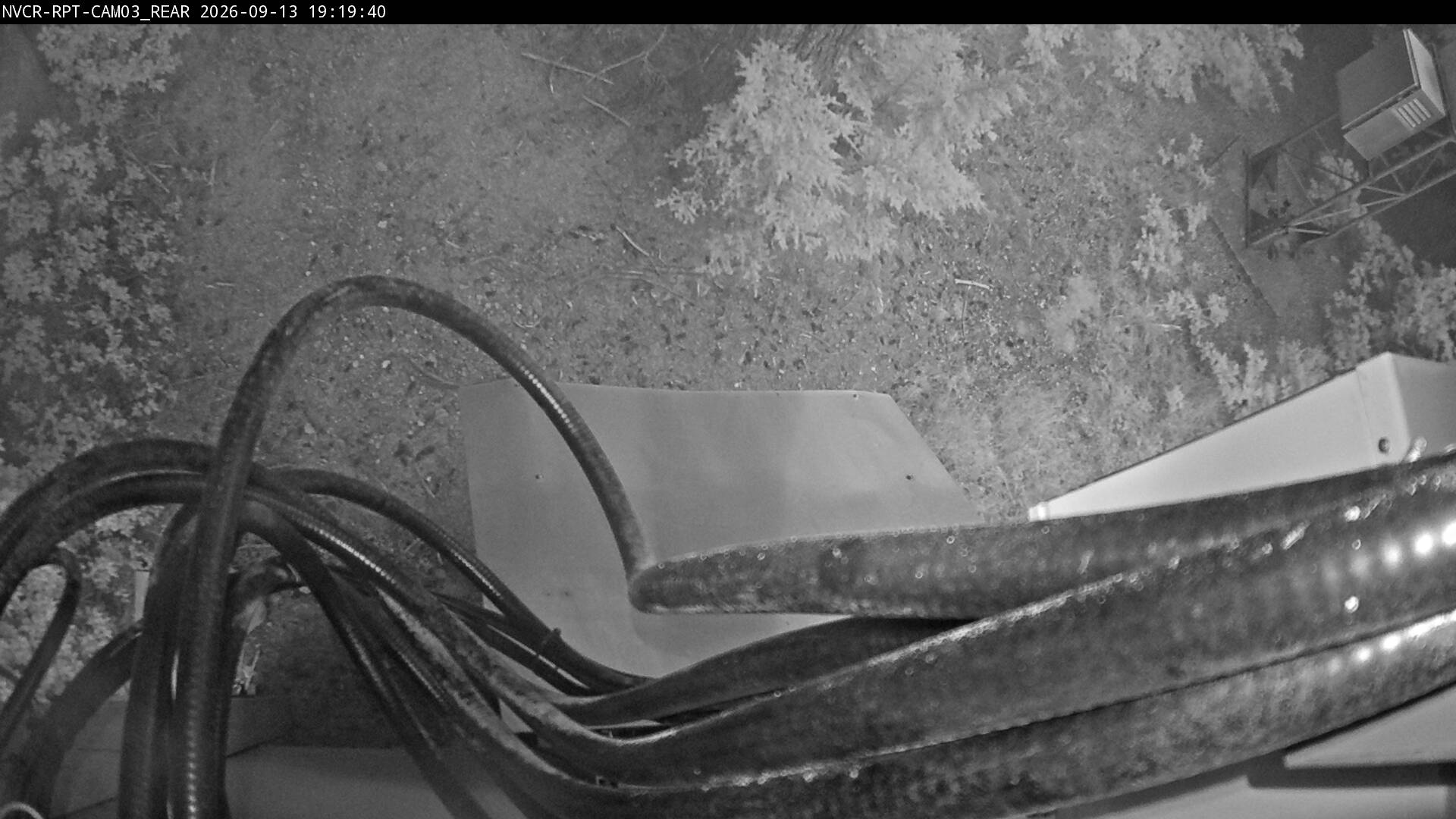Web Cam History Image - 96