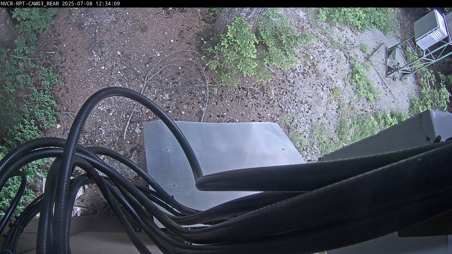 Web Cam History Image - 952