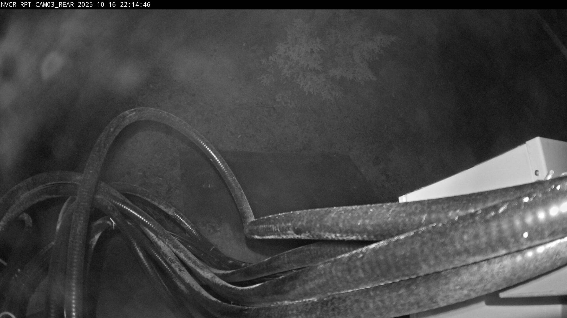 Web Cam History Image - 952