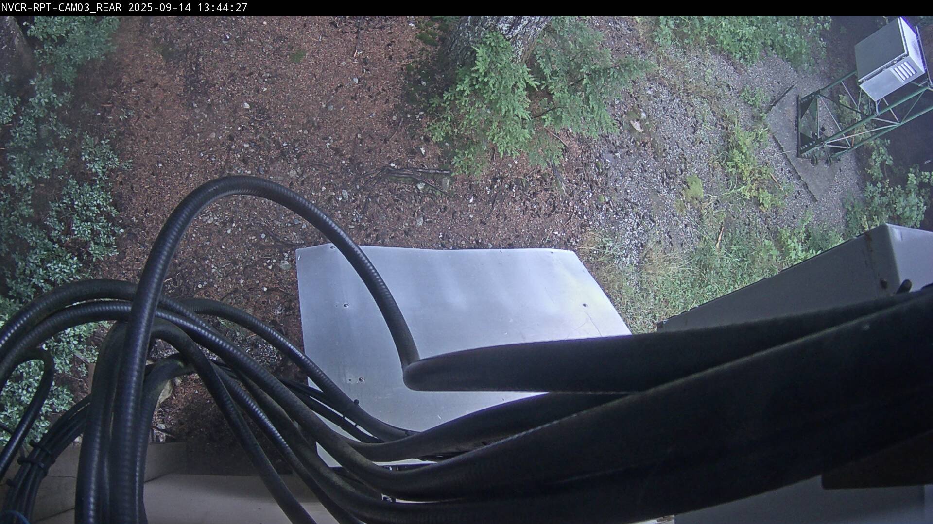 Web Cam History Image - 953